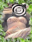 escorts en asturias, escorts en valencia, escorts en madrid